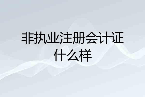 非执业注册会计证什么样