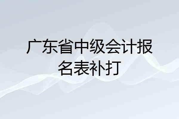 广东省中级会计报名表补打