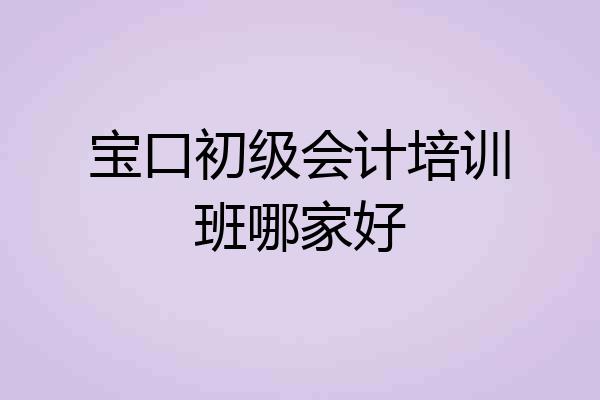 宝口初级会计培训班哪家好