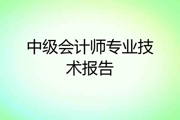 中级会计师专业技术报告