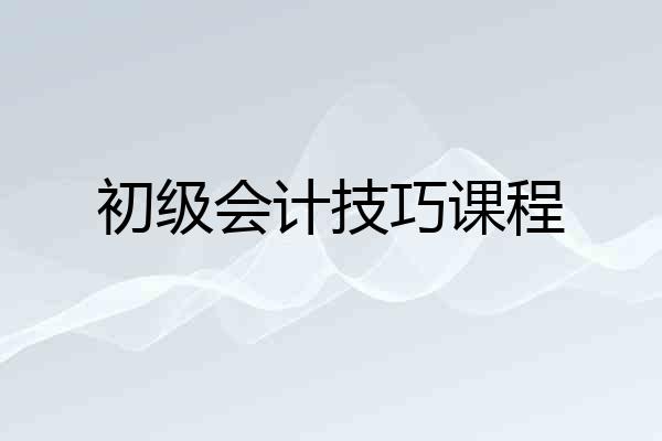 初级会计技巧课程
