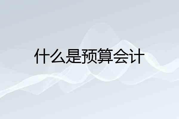什么是预算会计