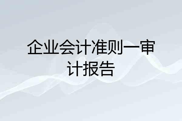 企业会计准则一审计报告