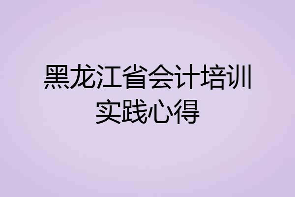黑龙江省会计培训实践心得