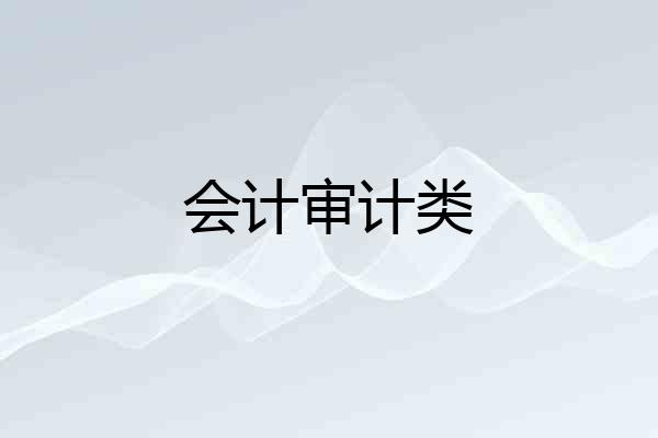 会计审计类