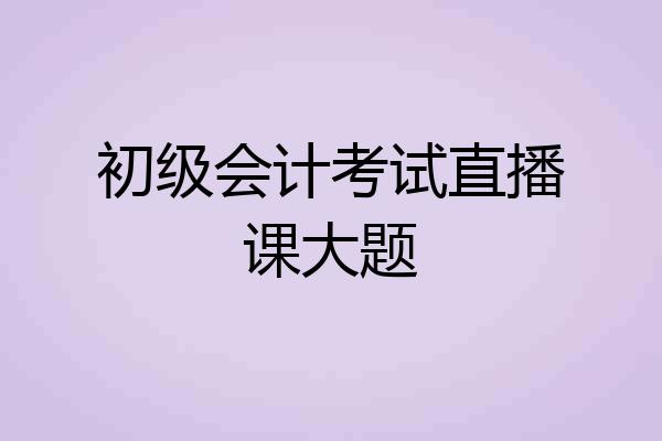 初级会计考试直播课大题