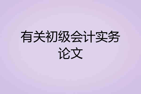 有关初级会计实务论文