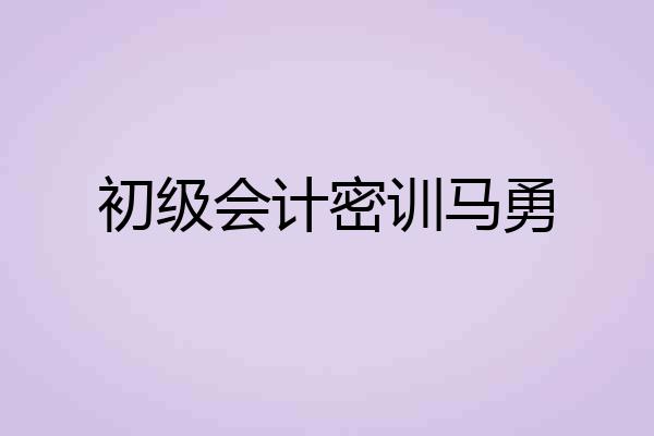 初级会计密训马勇