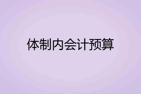 体制内会计预算