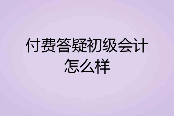 付费答疑初级会计怎么样