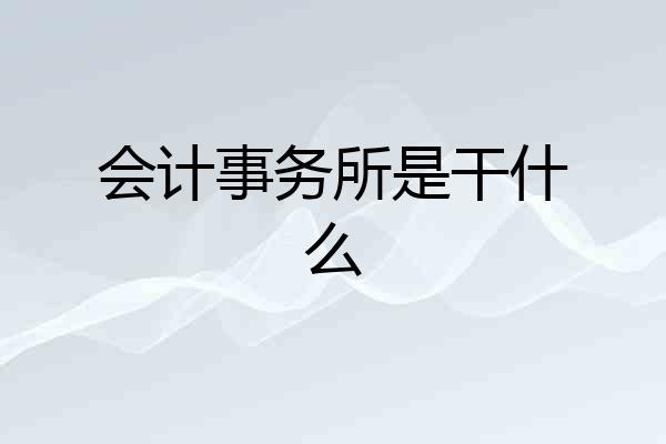会计事务所是干什么