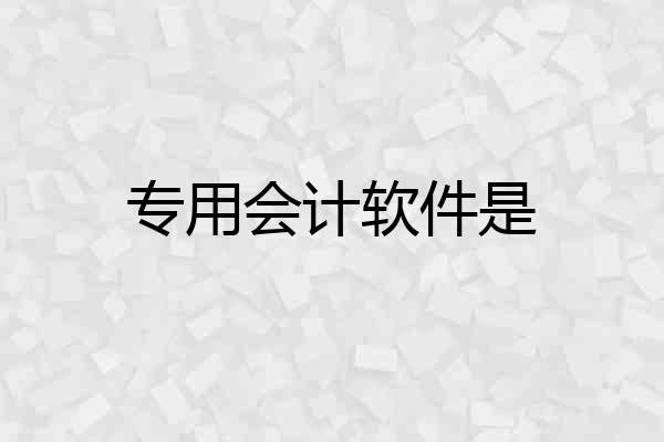 专用会计软件是