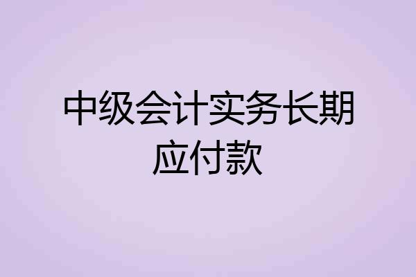 中级会计实务长期应付款