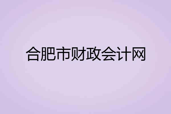 合肥市财政会计网