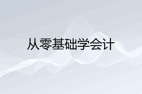 从零基础学会计