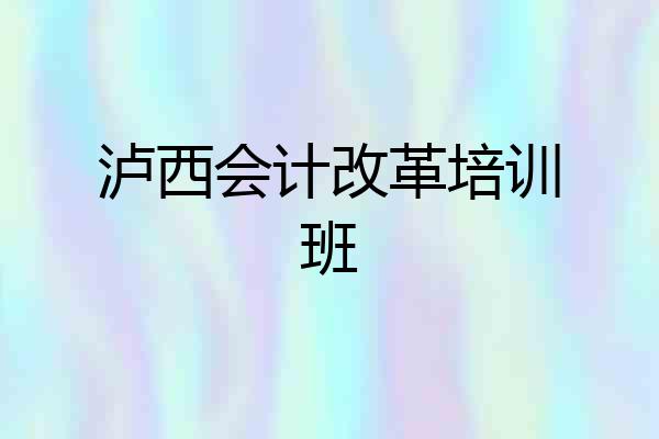 泸西会计改革培训班