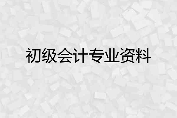 初级会计专业资料