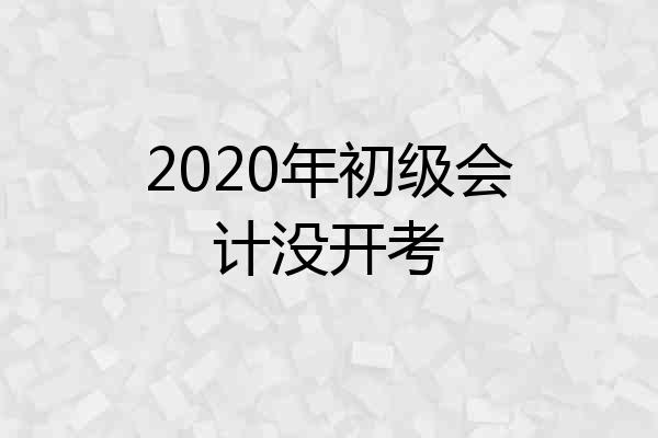 2020年初级会计没开考
