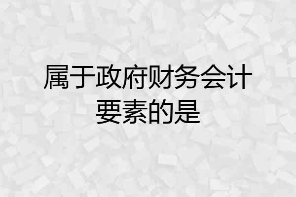 属于政府财务会计要素的是