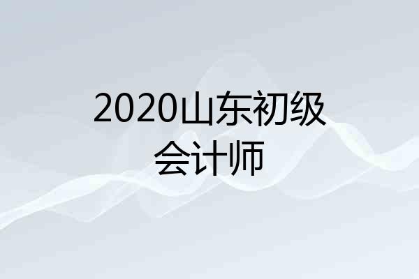 2020山东初级会计师