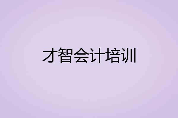 才智会计培训