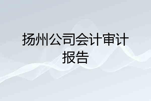 扬州公司会计审计报告