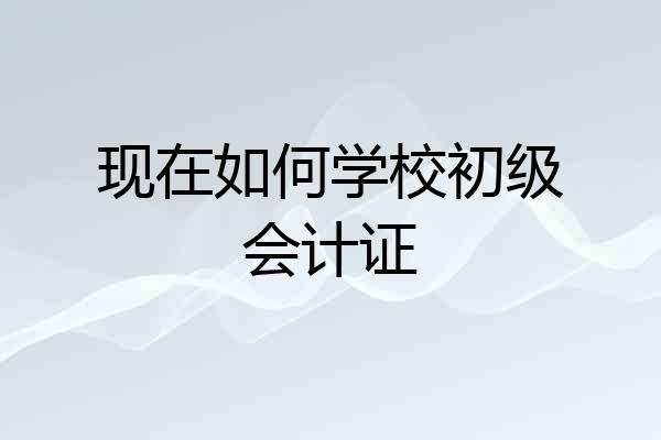 现在如何学校初级会计证