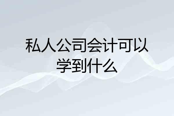 私人公司会计可以学到什么