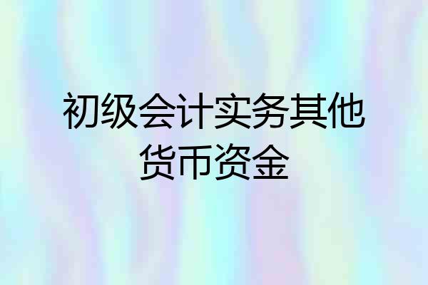 初级会计实务其他货币资金