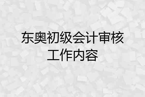 东奥初级会计审核工作内容