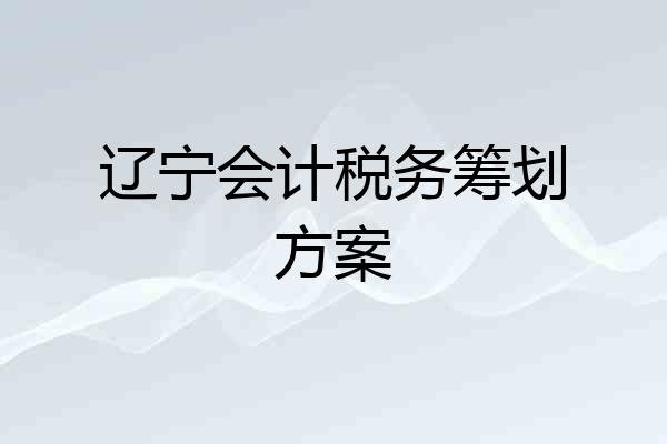 辽宁会计税务筹划方案