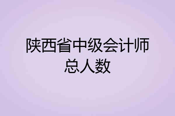 陕西省中级会计师总人数