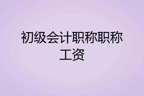 初级会计职称职称工资