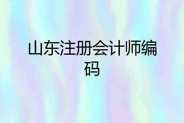 山东注册会计师编码