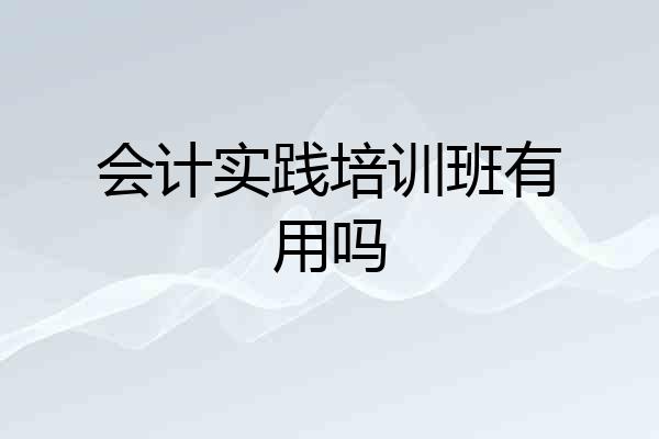 会计实践培训班有用吗