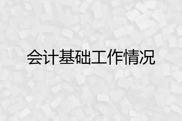 会计基础工作情况