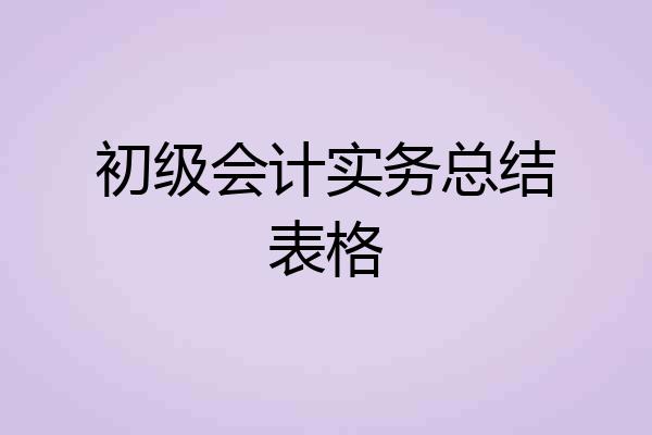 初级会计实务总结表格