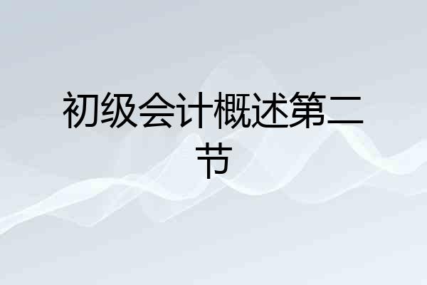 初级会计概述第二节