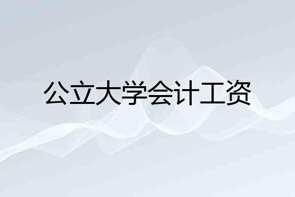 公立大学会计工资
