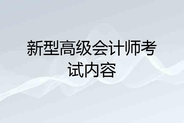新型高级会计师考试内容