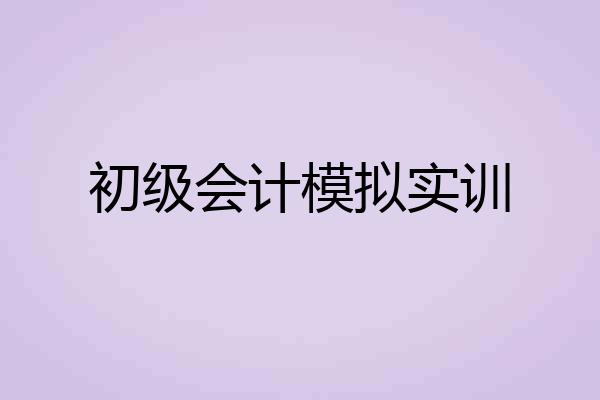 初级会计模拟实训