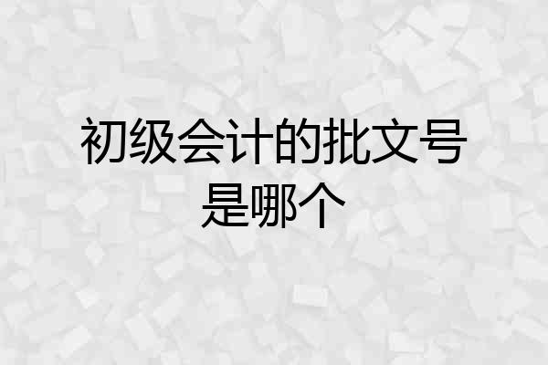 初级会计的批文号是哪个