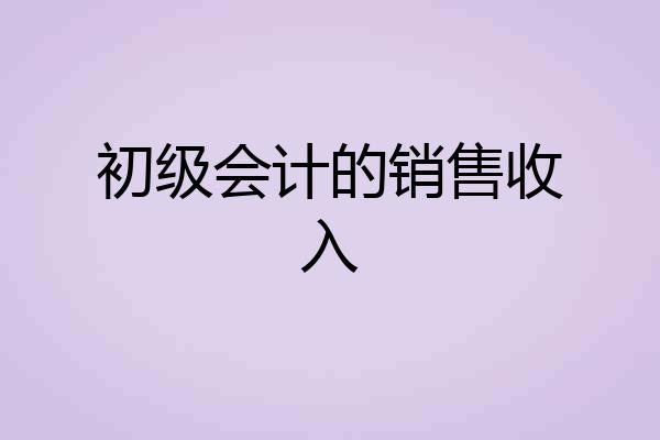 初级会计的销售收入