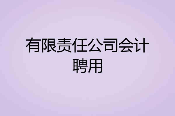 有限责任公司会计聘用