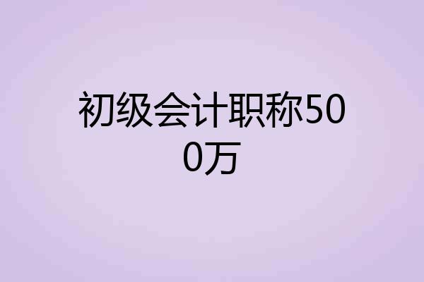 初级会计职称500万
