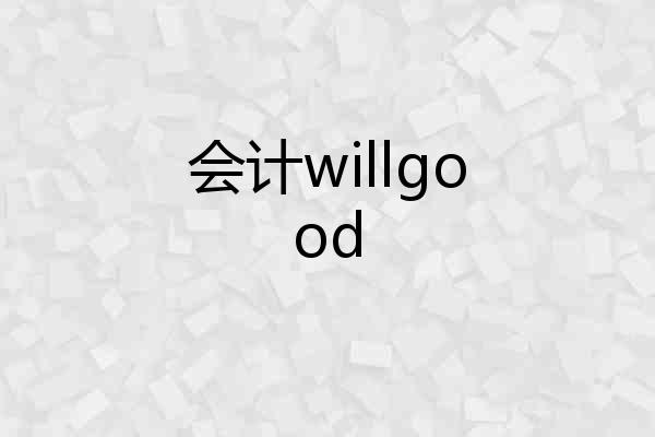 会计willgood