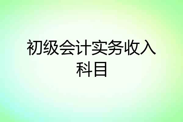 初级会计实务收入科目