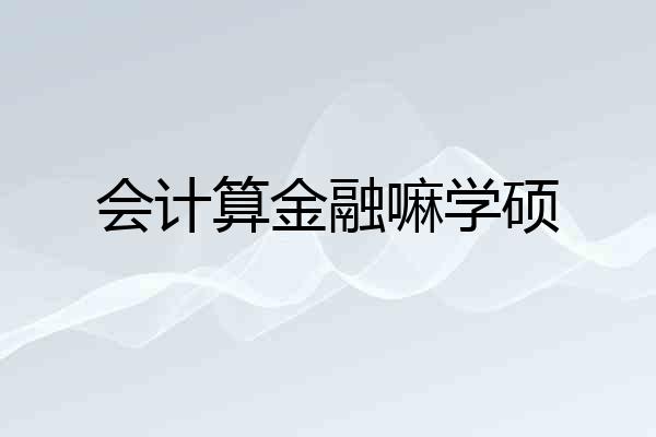 会计算金融嘛学硕