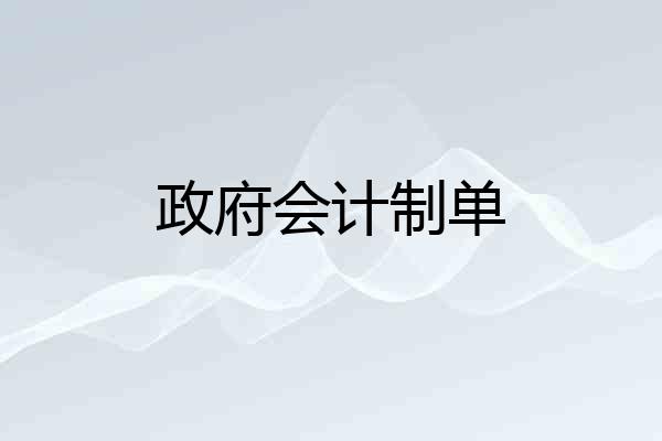 政府会计制单