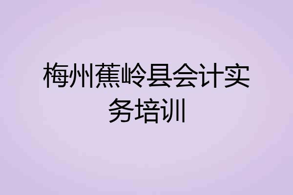 梅州蕉岭县会计实务培训